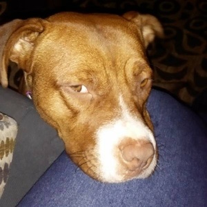 Sabrinalovelylady Robinson