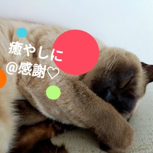 癒やしに@感謝　【相互100%】