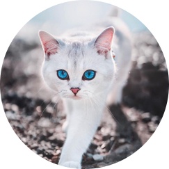 相互フォロー＠k