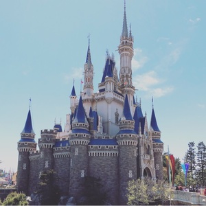 夢の国のトンボ