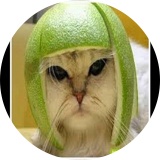 可愛い動物チャンネル　相互フォロー100%