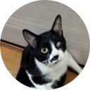 世界の動物お笑い劇場！