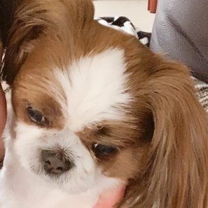 おもしろチャンネル୨୧⑅*.