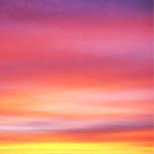 筋肉の力【公式】