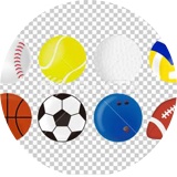 sports 目白押し!!!