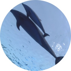 不思議わくわく