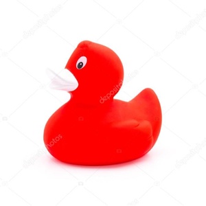 あひーる@相互フォロー100%