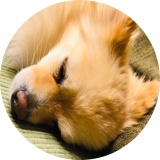 もふもふ癒しch