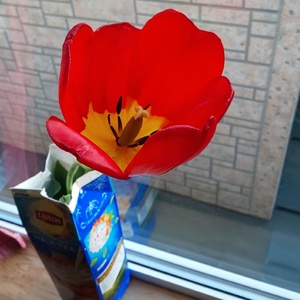 あしたナイン 相互100%【ゲーム】