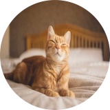 パズルドラゴン＠相互フォローOK