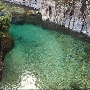 修羅場、スカッとチャンネル相互フォロー100%