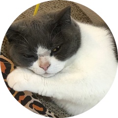 すみりりチャンネル