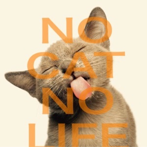 猫丸チャンネル