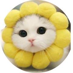 犬猫癒しちゃんねる＠相互フォロー歓迎