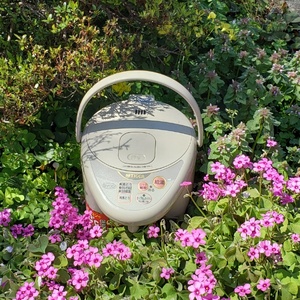 激笑TV【相互100％】