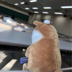 ワンワンルーム