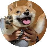 どうでもいいやちゃんねる