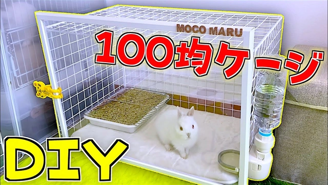 Buzzvideo Story 100均 ゲージ