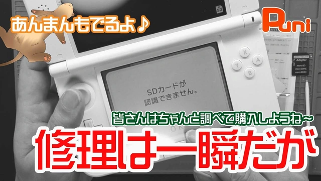 Buzzvideo Story 3ds Sd カード 交換