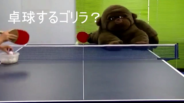 Buzzvideo Story コロチキ 卓球 動画ない 5 25 0 2 5 84