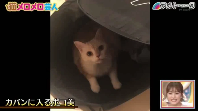 Buzzvideo Story アメトーク 本好き芸人 動画