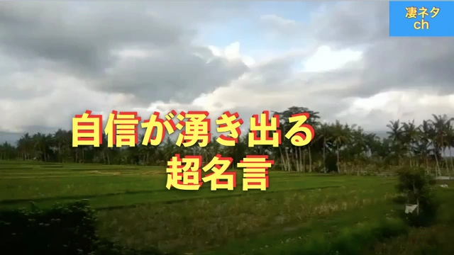 Buzzvideo Story 2ちゃんねる迷言