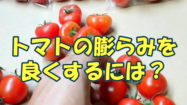 みっちゃんの野菜職人チャンネル