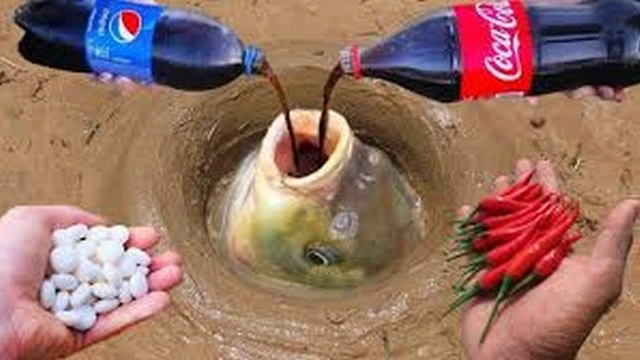 Buzzvideo Story 巨大魚 メントスコーラ