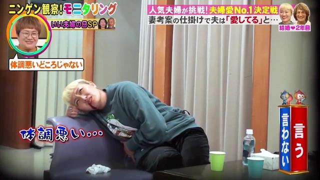 Buzzvideo Story 丸山桂里奈 犬 カーペット