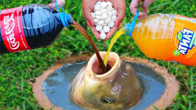 Buzzvideo Story メントスコーラ 魚