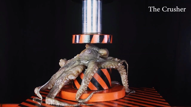 Buzzvideo Story タコ部屋 2ch