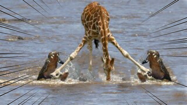 Buzzvideo Story ワニ 捕食シーン