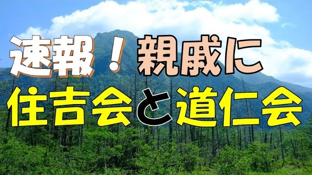 Buzzvideo Story 住吉会組織図21