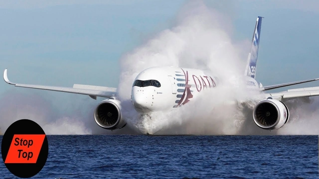 Buzzvideo Story 37年後に着陸した飛行機