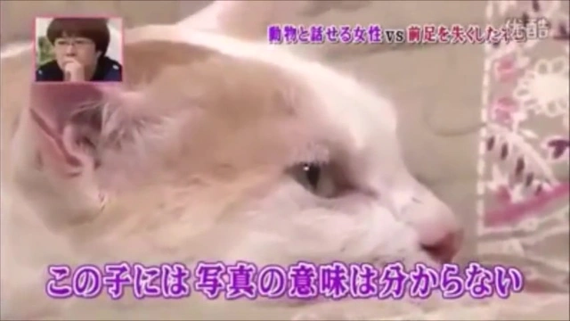 Buzzvideo Story ハイジとヨーデル ウクライナ