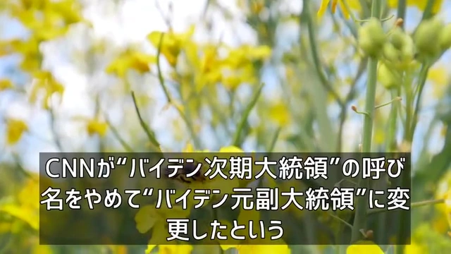 Buzzvideo Story 裁可を取り下げ