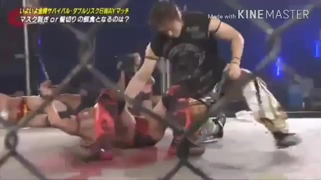 Buzzvideo Story ドラゴンゲート 裏切り 1 2 0 5 30