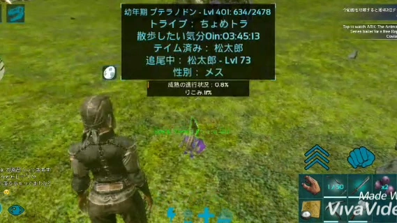 Buzzvideo Story Ark プテラノドン 0 8 0 25 75