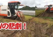 【会社員実家農業手伝う】2021令和3年倒伏田雨の次の日に稲刈りクボタARN460はかなりの湿地田でも進む| BuzzVideoバズビデオ