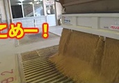 【会社員実家農業手伝う】2021ライスセンターへ米を運ぶ、ダンプだと楽だな| BuzzVideoバズビデオ