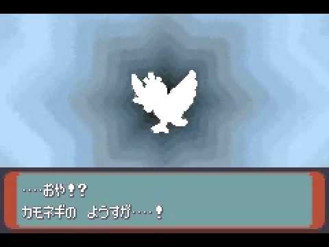 ポケモン改造 カモネギの進化