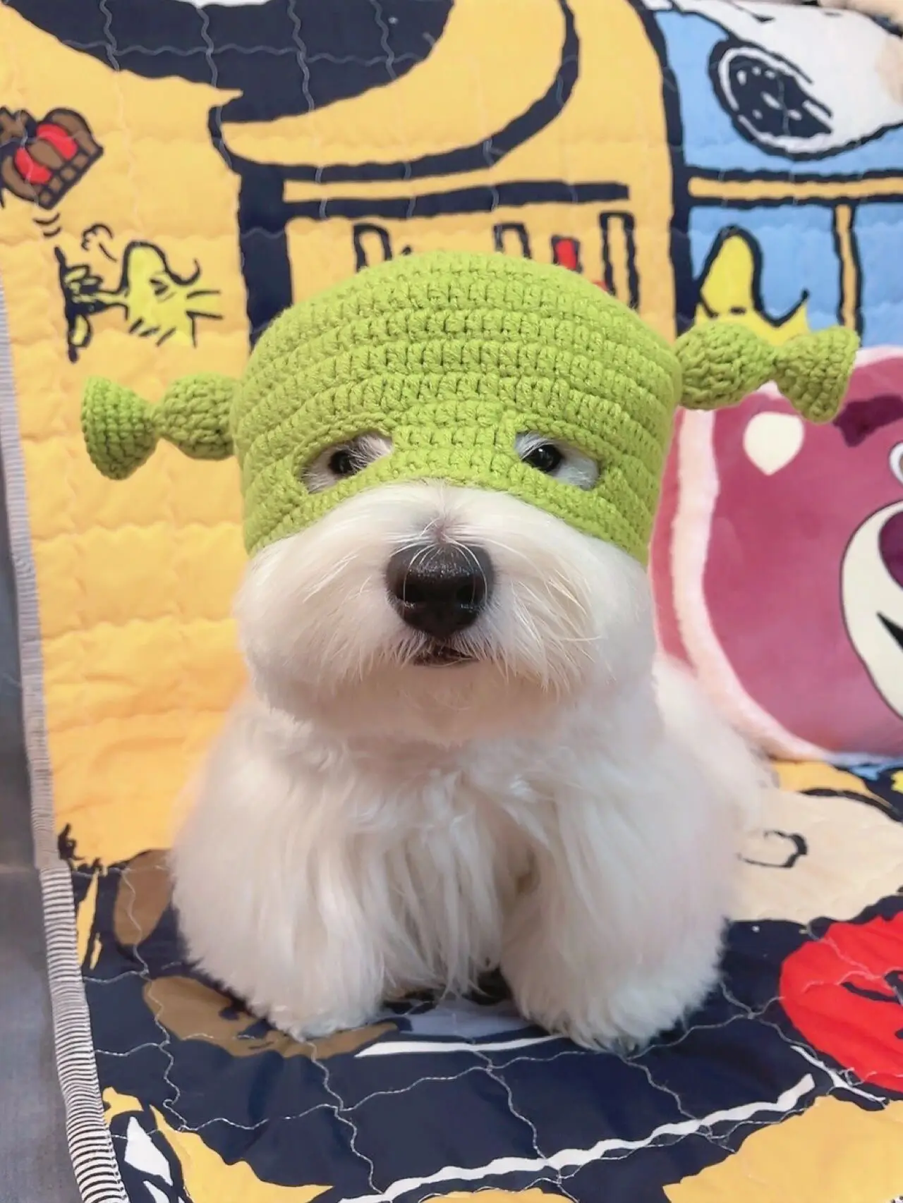 Shrek Dogs My Shrek Dog 💚💚's images(1)