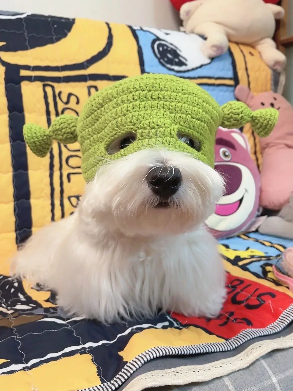 Shrek Dogs My Shrek Dog 💚💚's images(3)