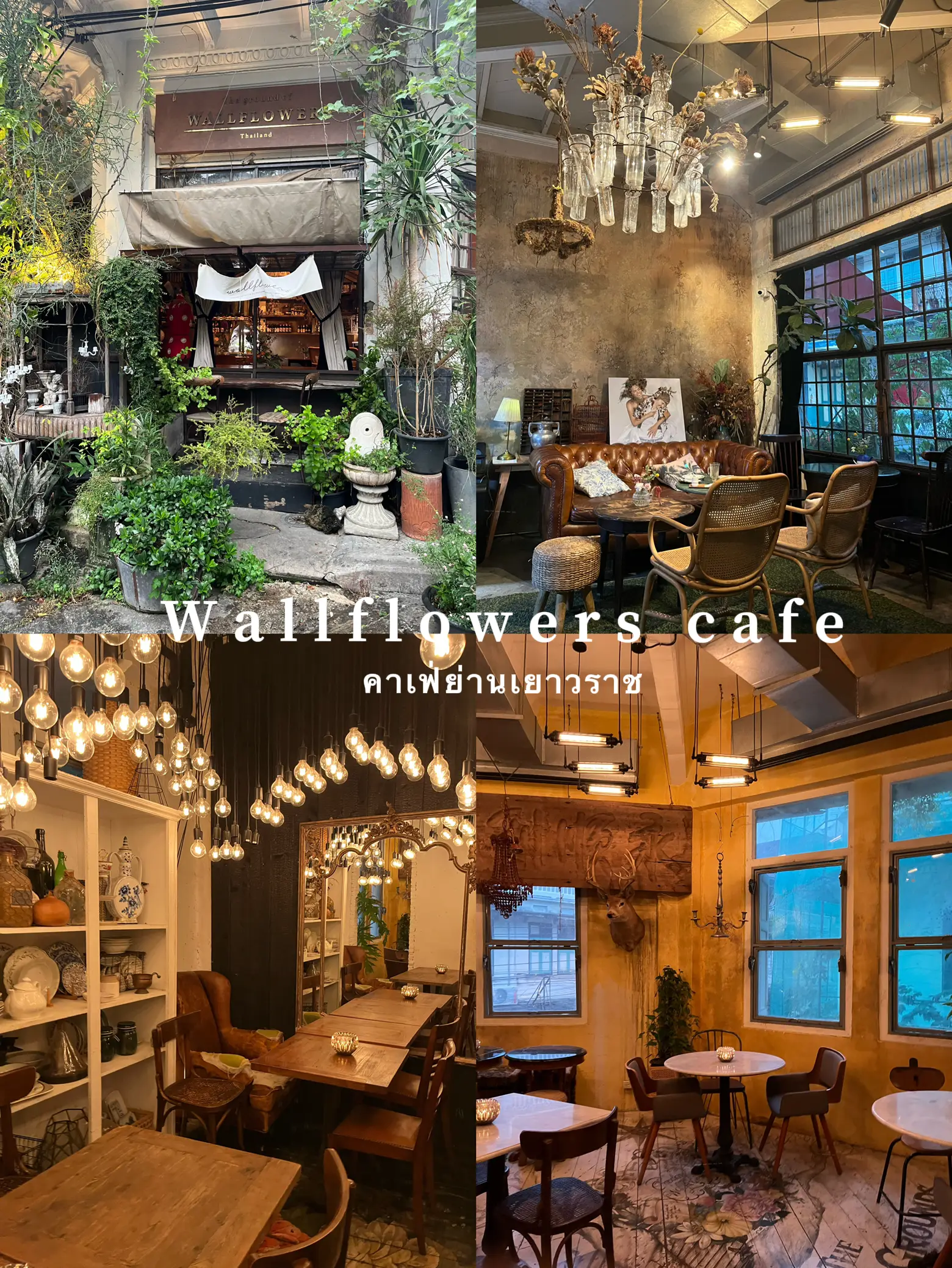 มุมถ่ายรูปสุดปัง Wallflowers Cafe แกลเลอรีที่โพสต์โดย Beau Pichaya Lemon8