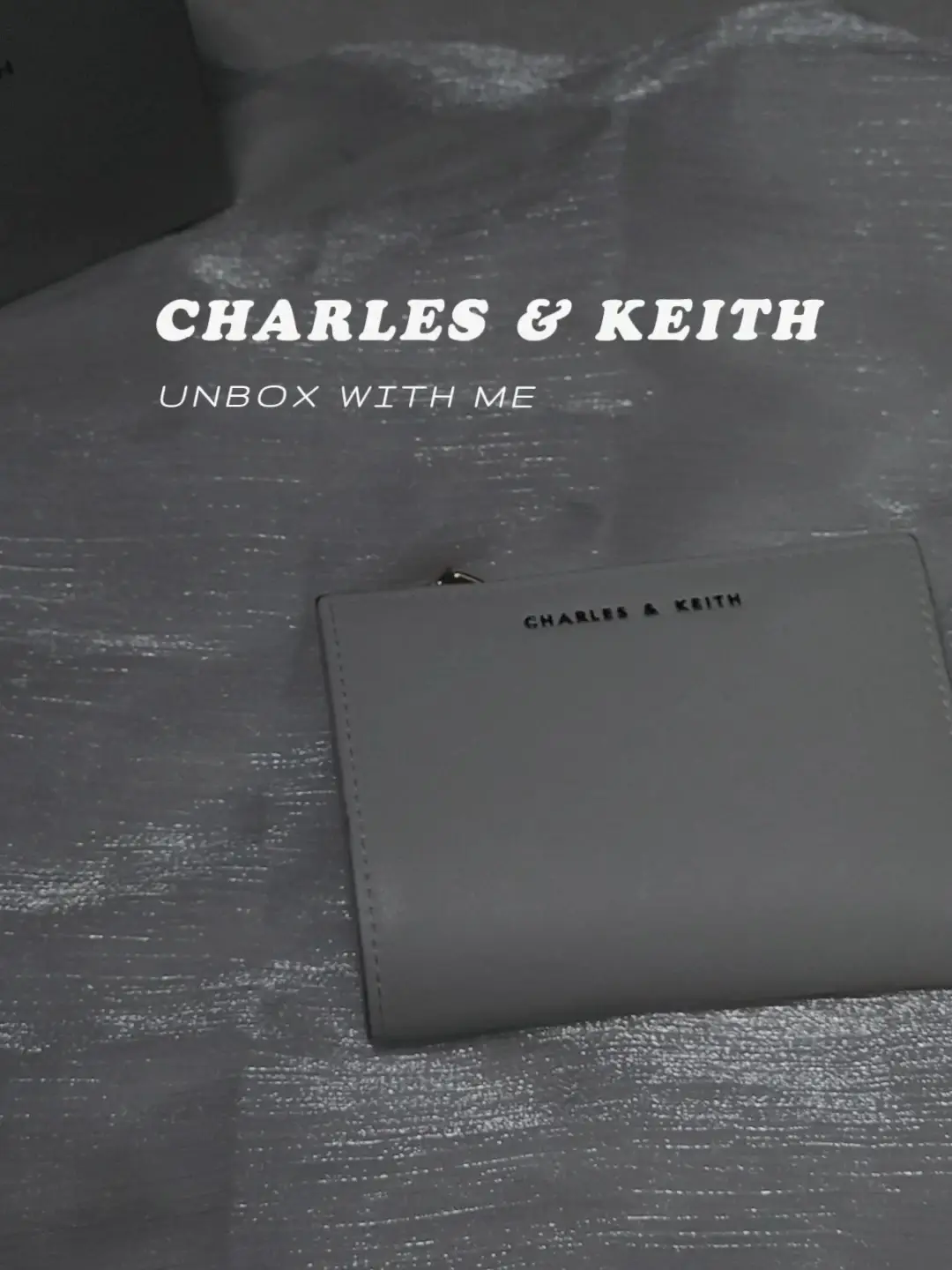 Black Harmonee Top Zip Small Wallet - CHARLES & KEITH US