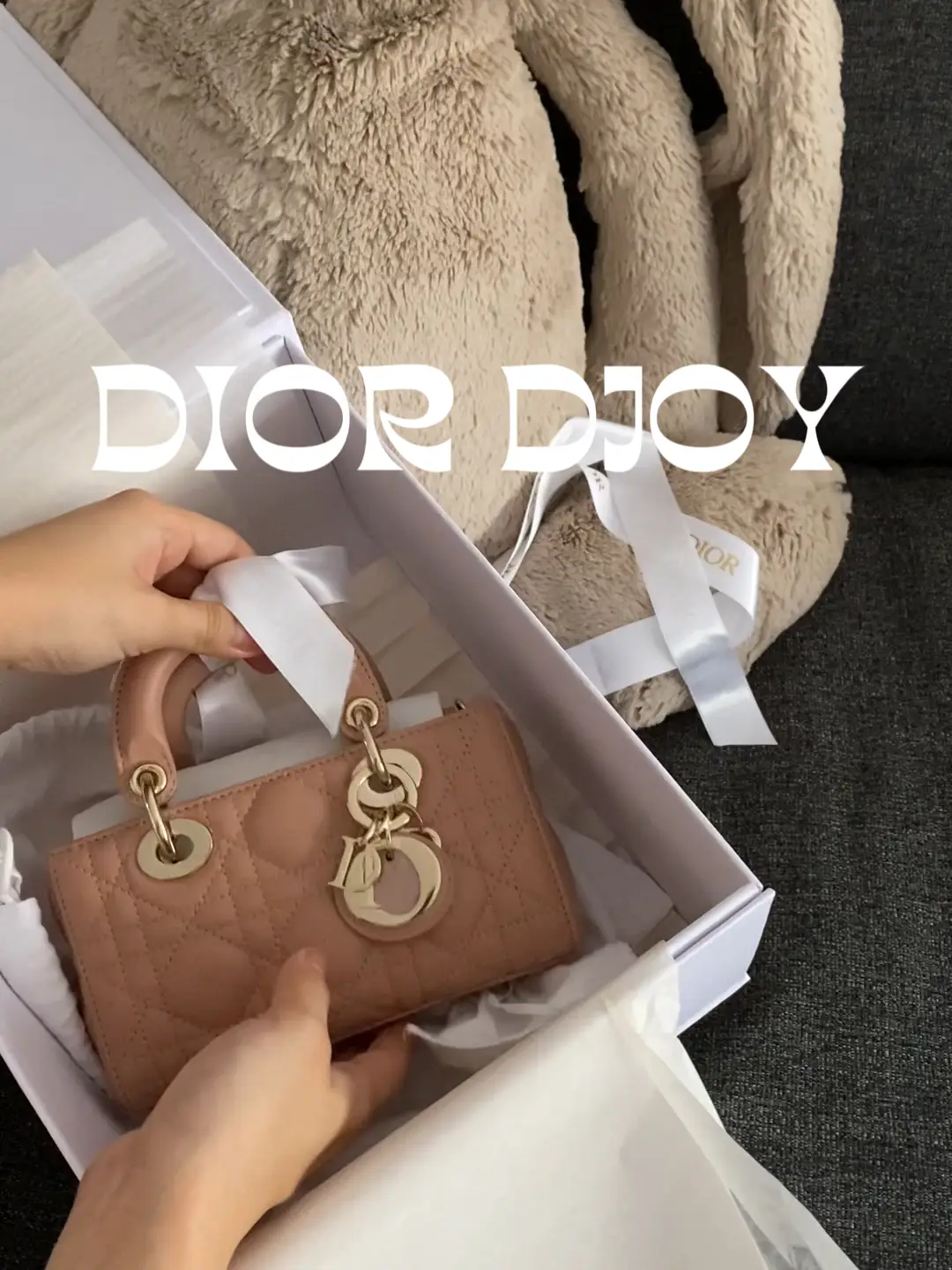 Lady dior hot sale bag nude