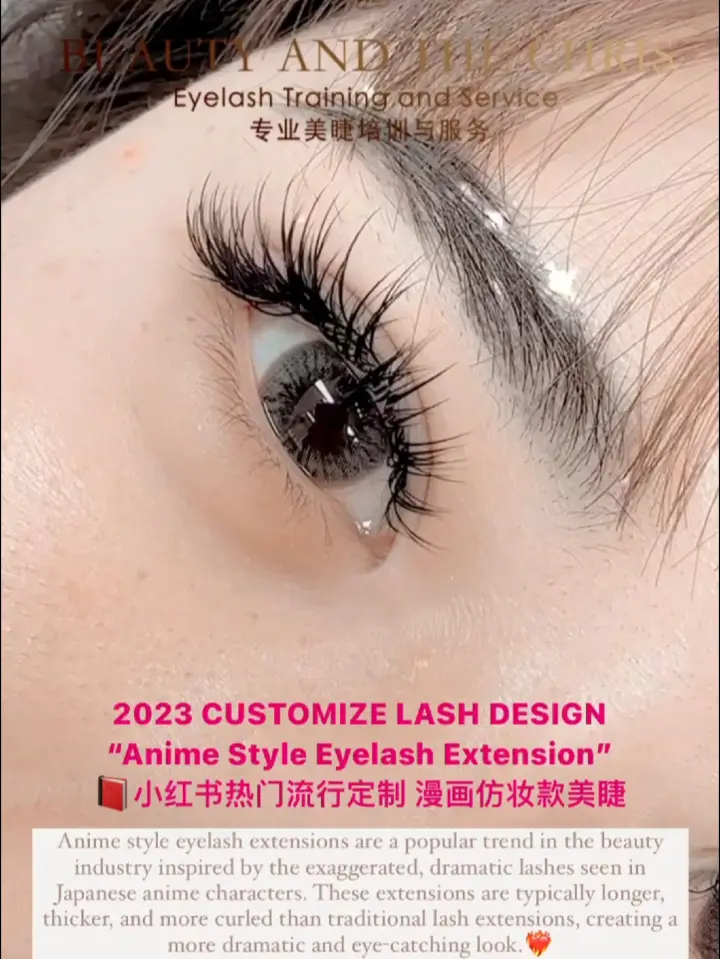 anime eyelash mappingTikTok Search