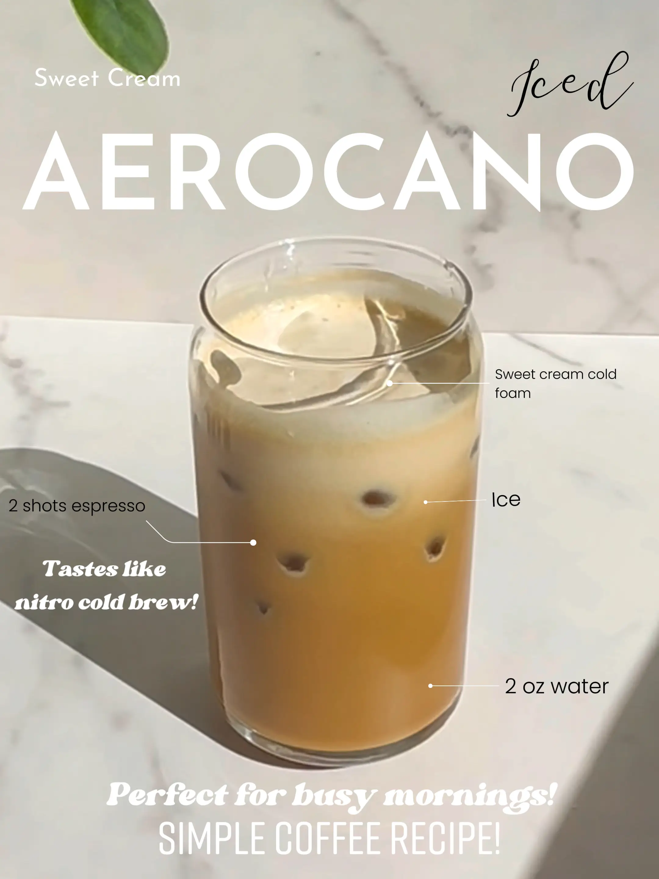 How to make Coffee Ice Cubes - Espresso & Coffee Guide