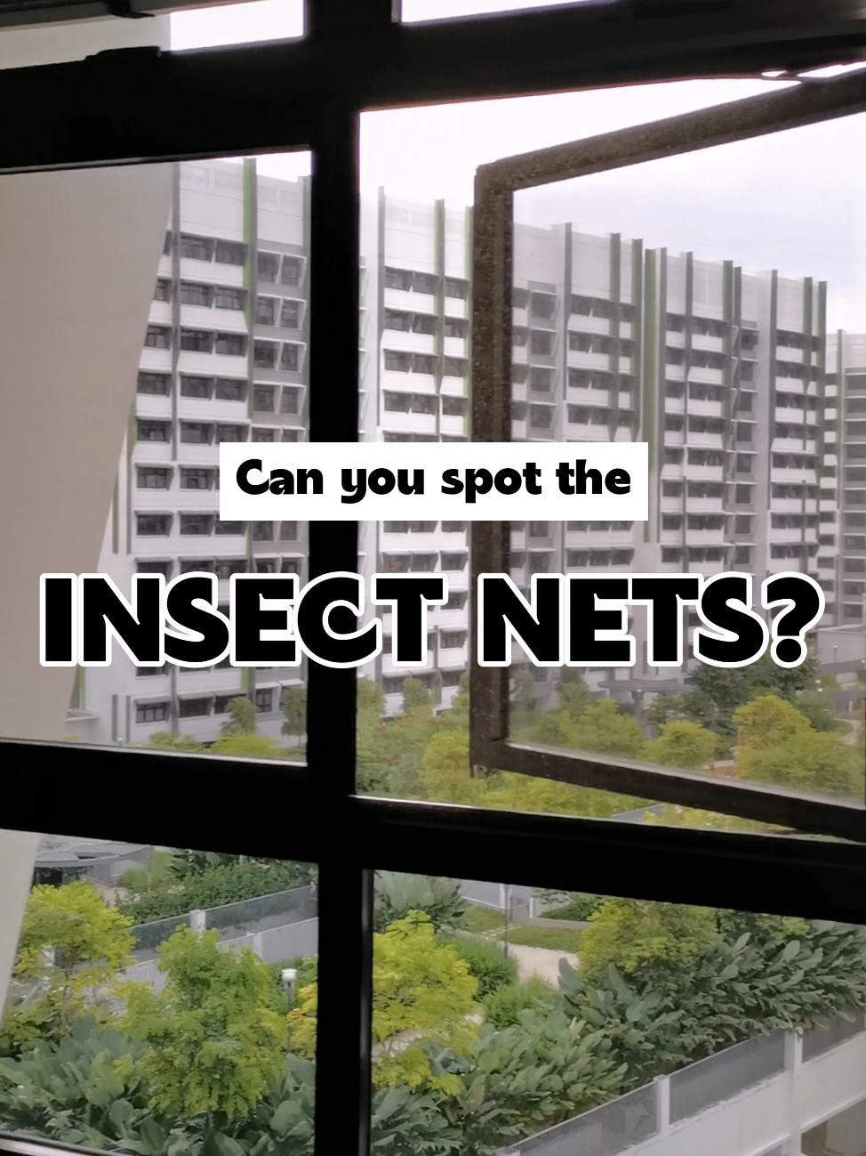 Best investment made to prevent INSECTS 🪳🤢, Video published by  home.swee.home