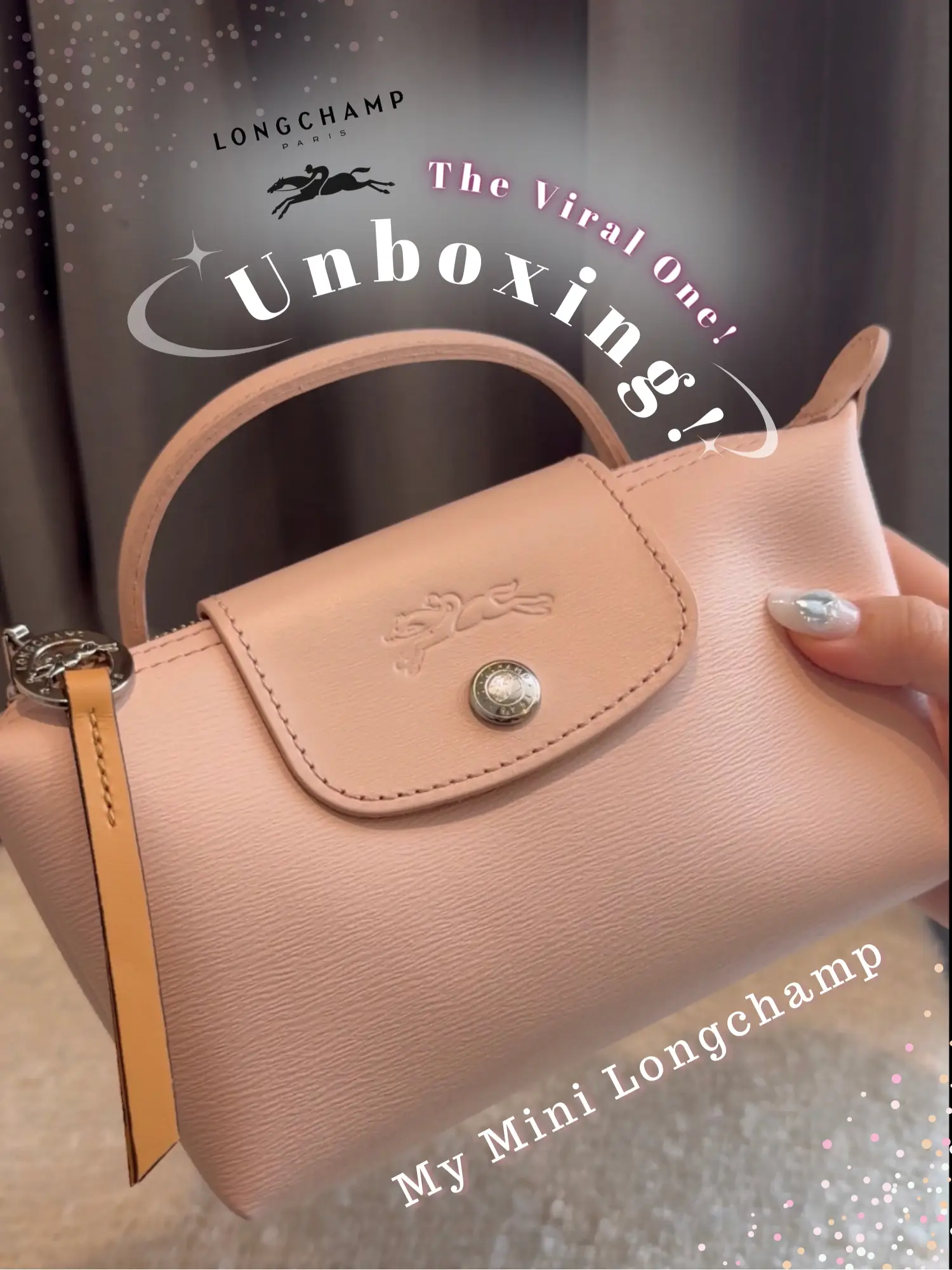 THE ITS BAG LONGCHAMP POUCH, Video published by Fatinazyanzi